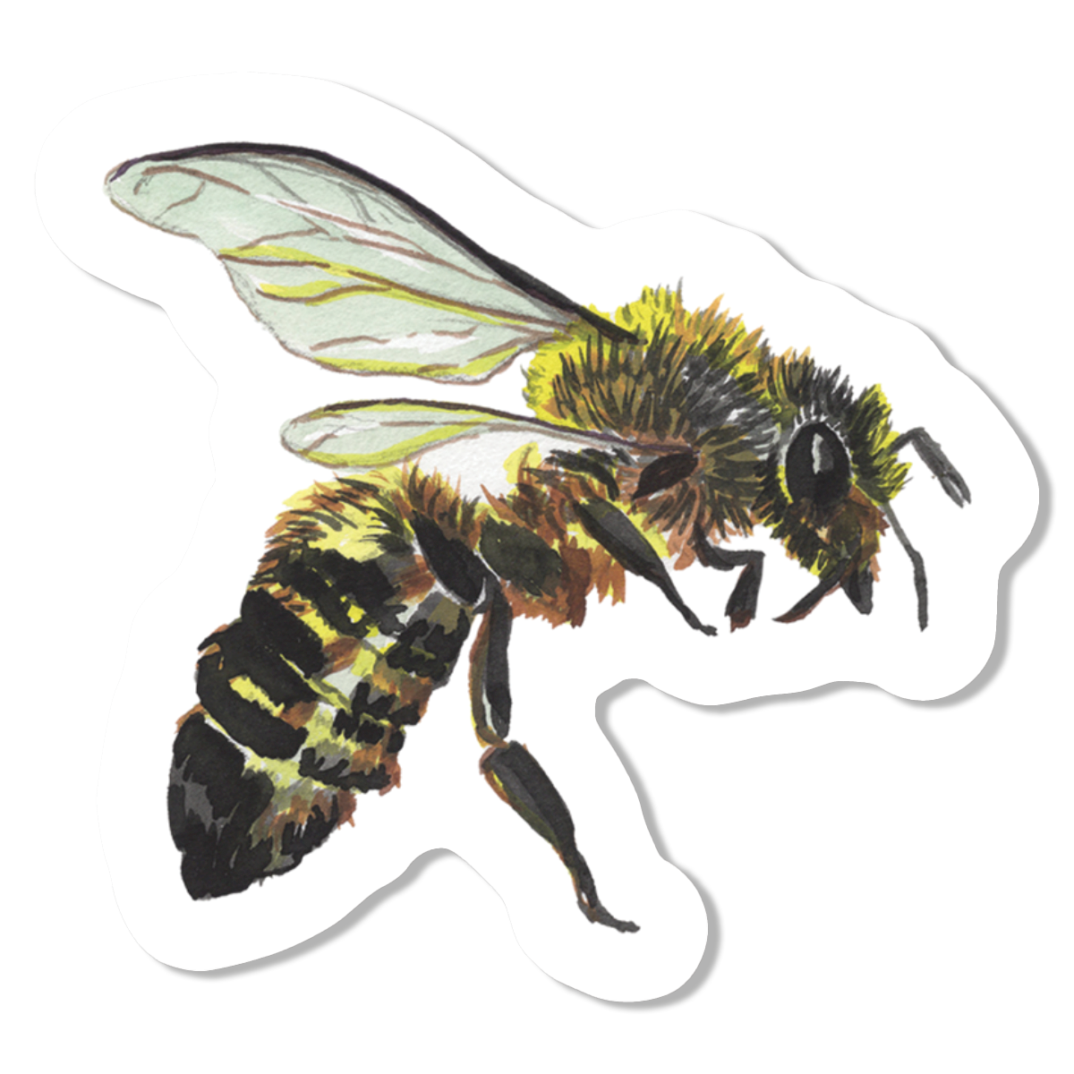 Bee 1 Vinyl Sticker