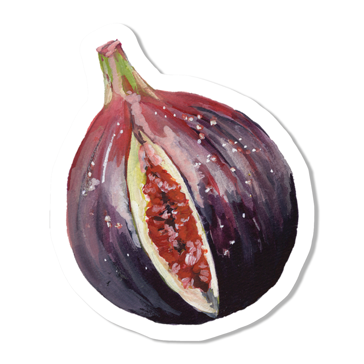 Fig Vinyl Sticker