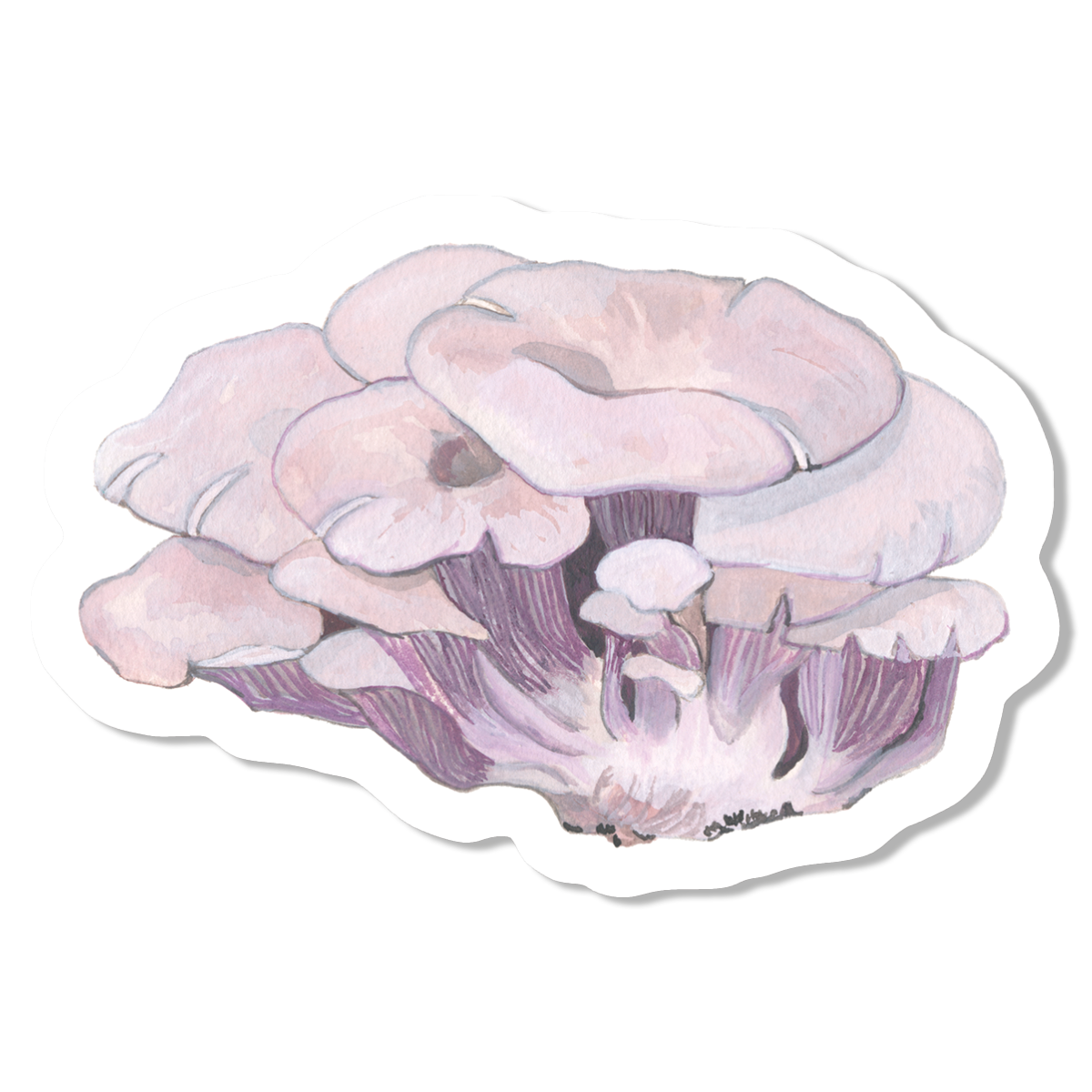 Oyster Mushrooms Vinyl Sticker
