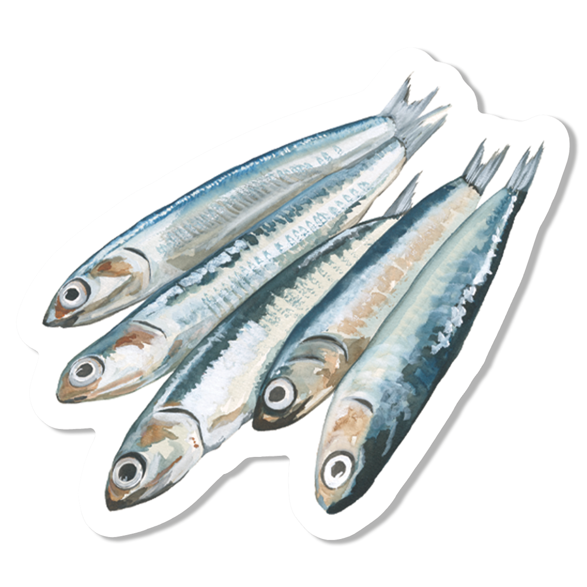 Anchovies Vinyl Sticker