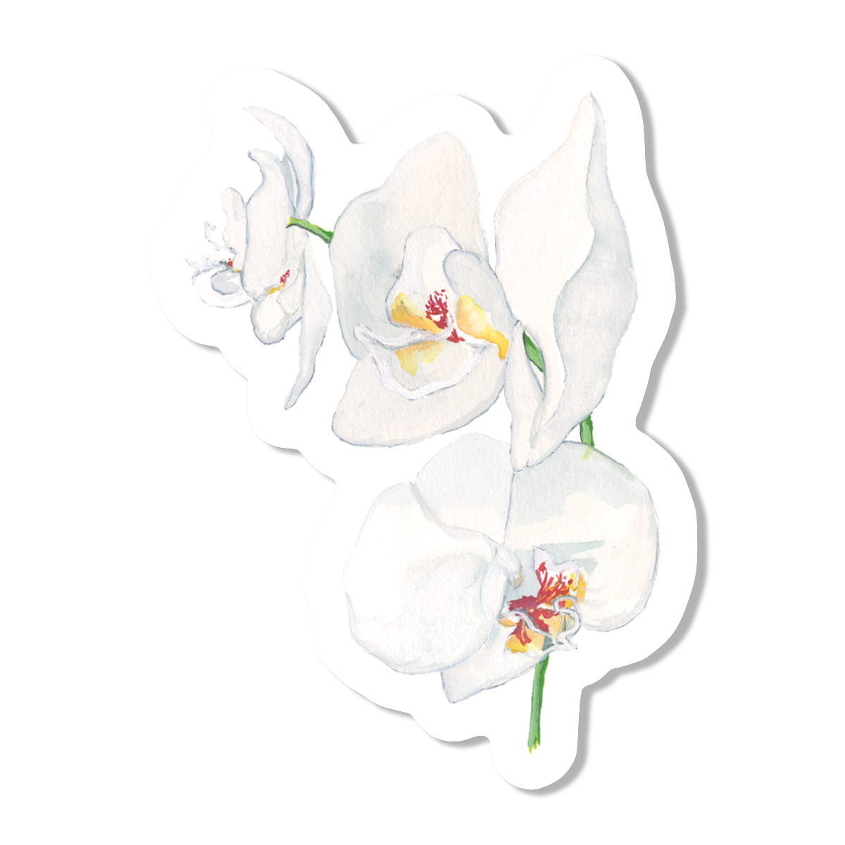 White Orchids Vinyl Sticker