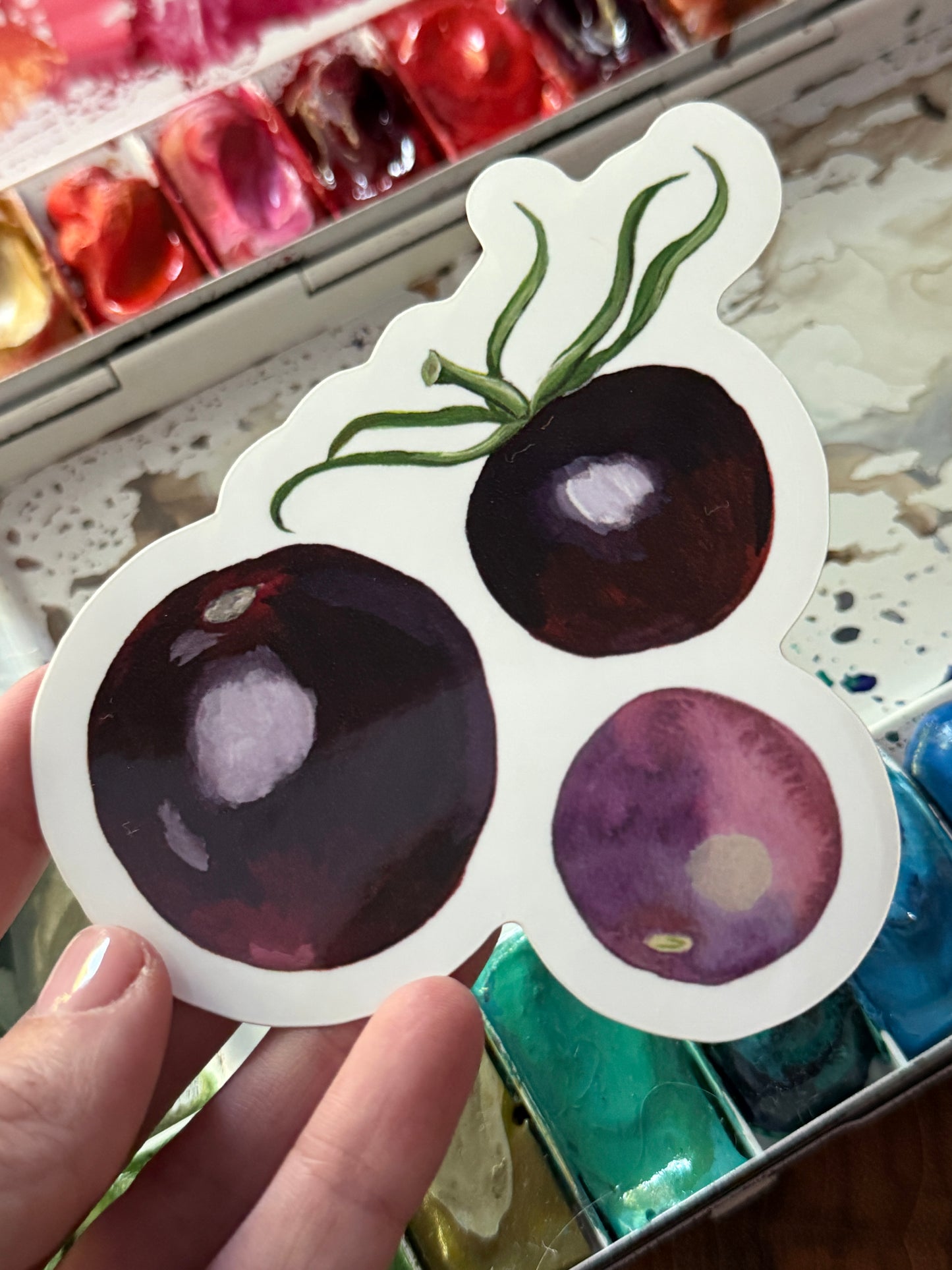 Purple Tomatoes Vinyl Sticker