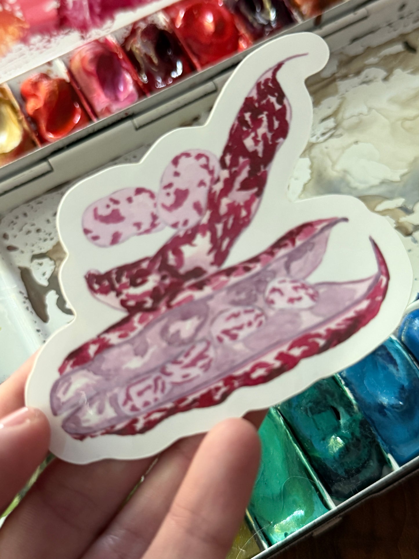 Beans Vinyl Sticker