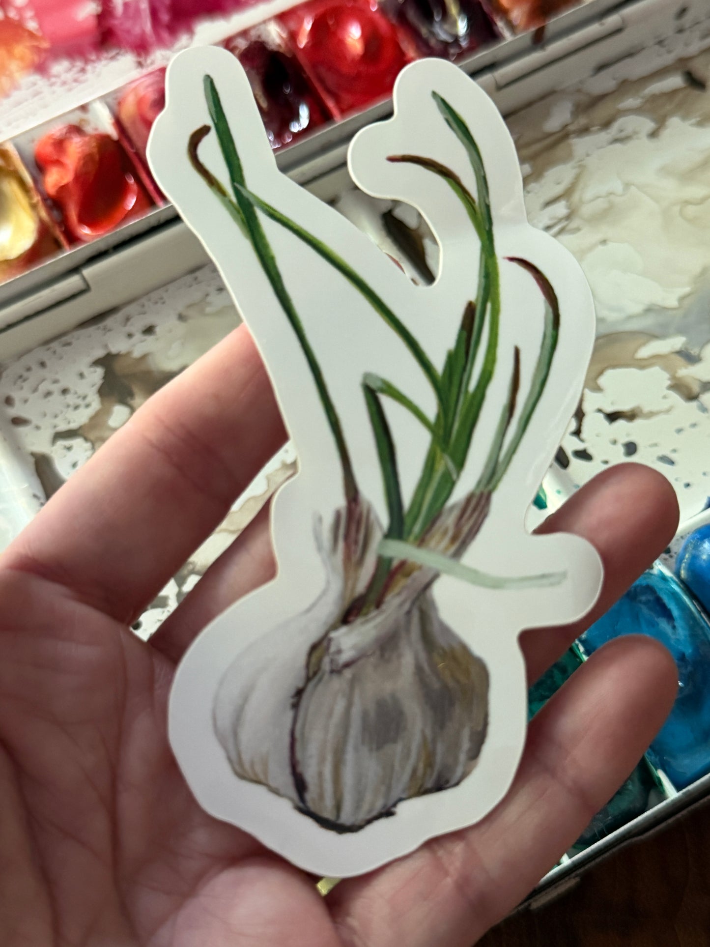 Sprouting Garlic Vinyl Sticker