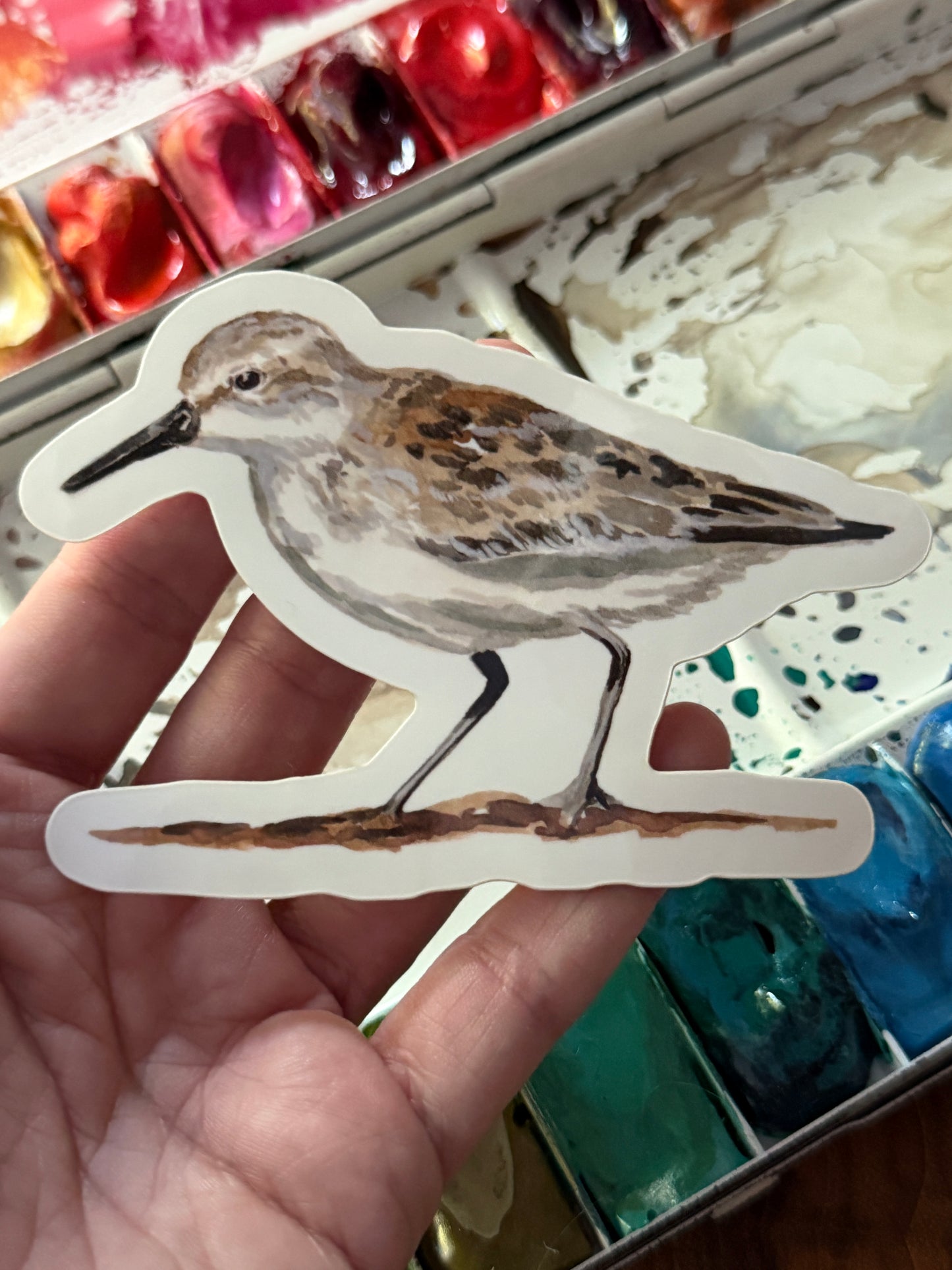 Sandpiper Vinyl Sticker