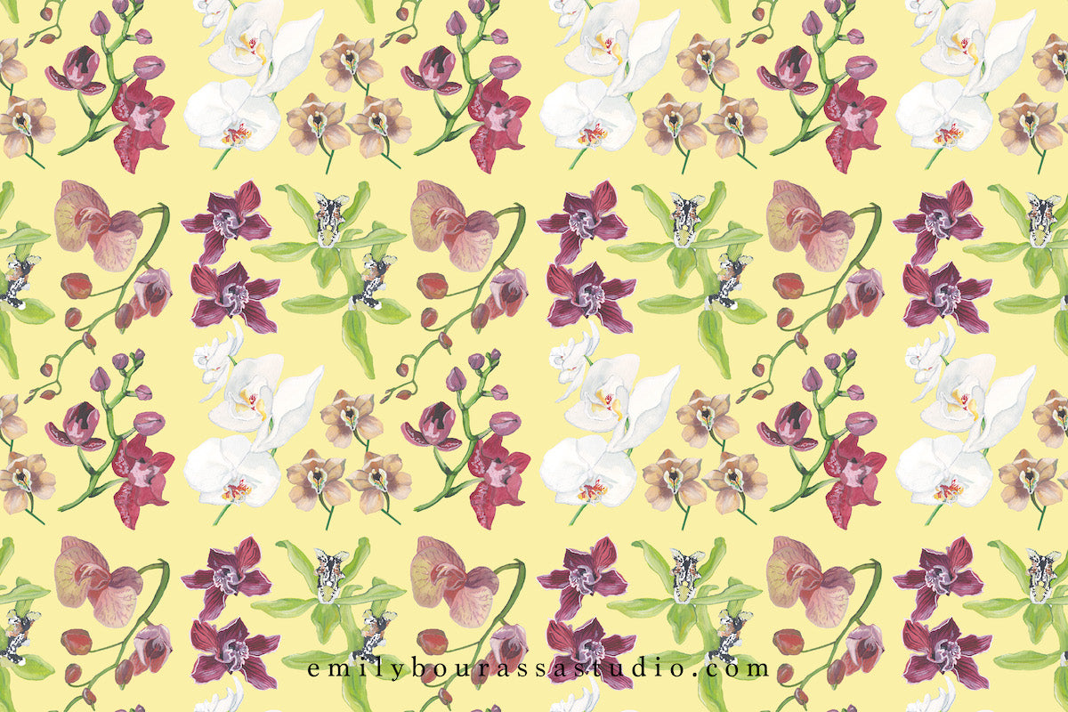 Orchids Thank You Note Set