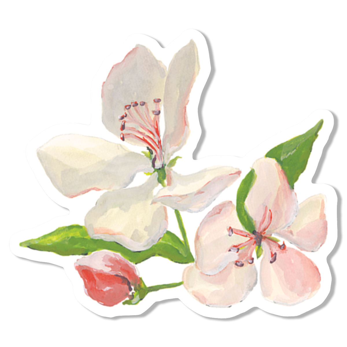 Apple Blossom Vinyl Sticker