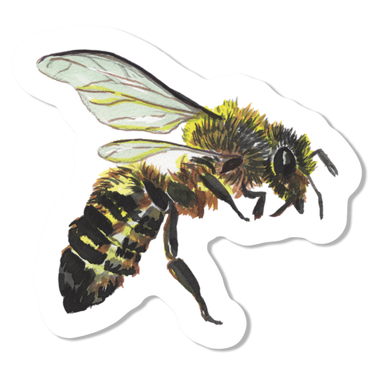 Bee 1 Vinyl Sticker