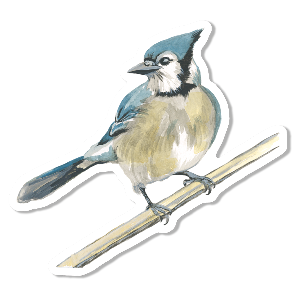 Bluejay Vinyl Sticker