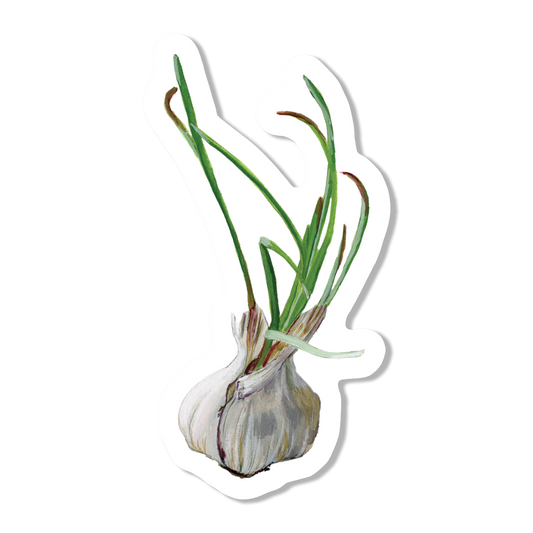 Sprouting Garlic Vinyl Sticker
