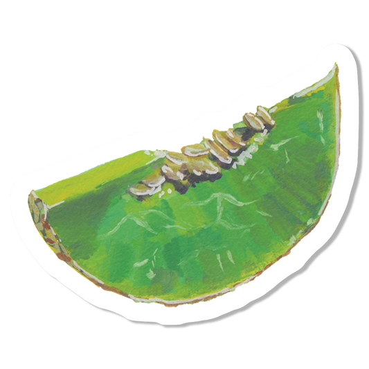 Honeydew Vinyl Sticker