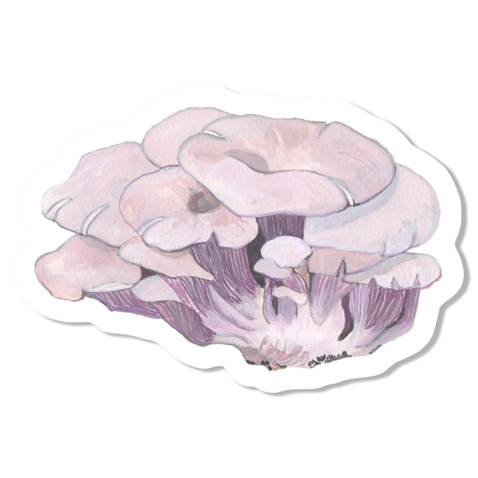 Oyster Mushrooms Vinyl Sticker