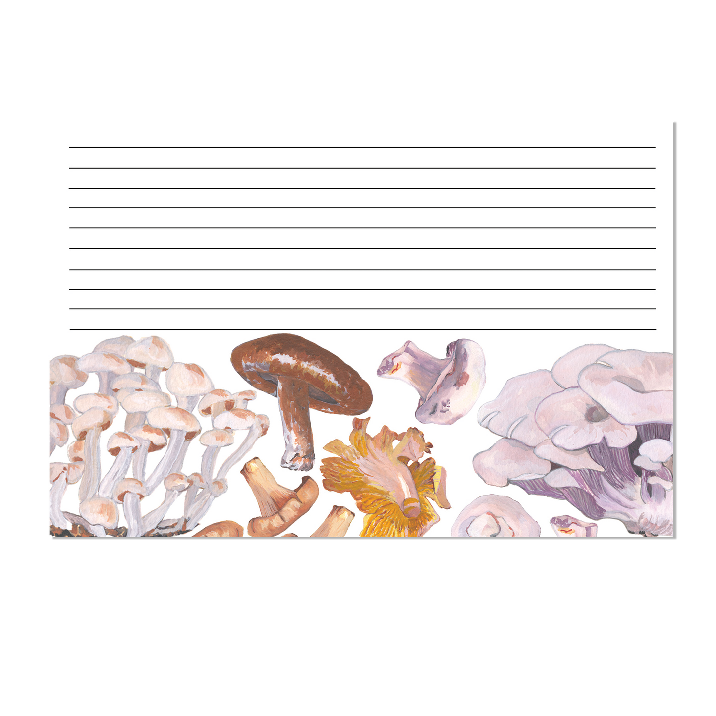 Culinary Mushrooms Recipe Card Set