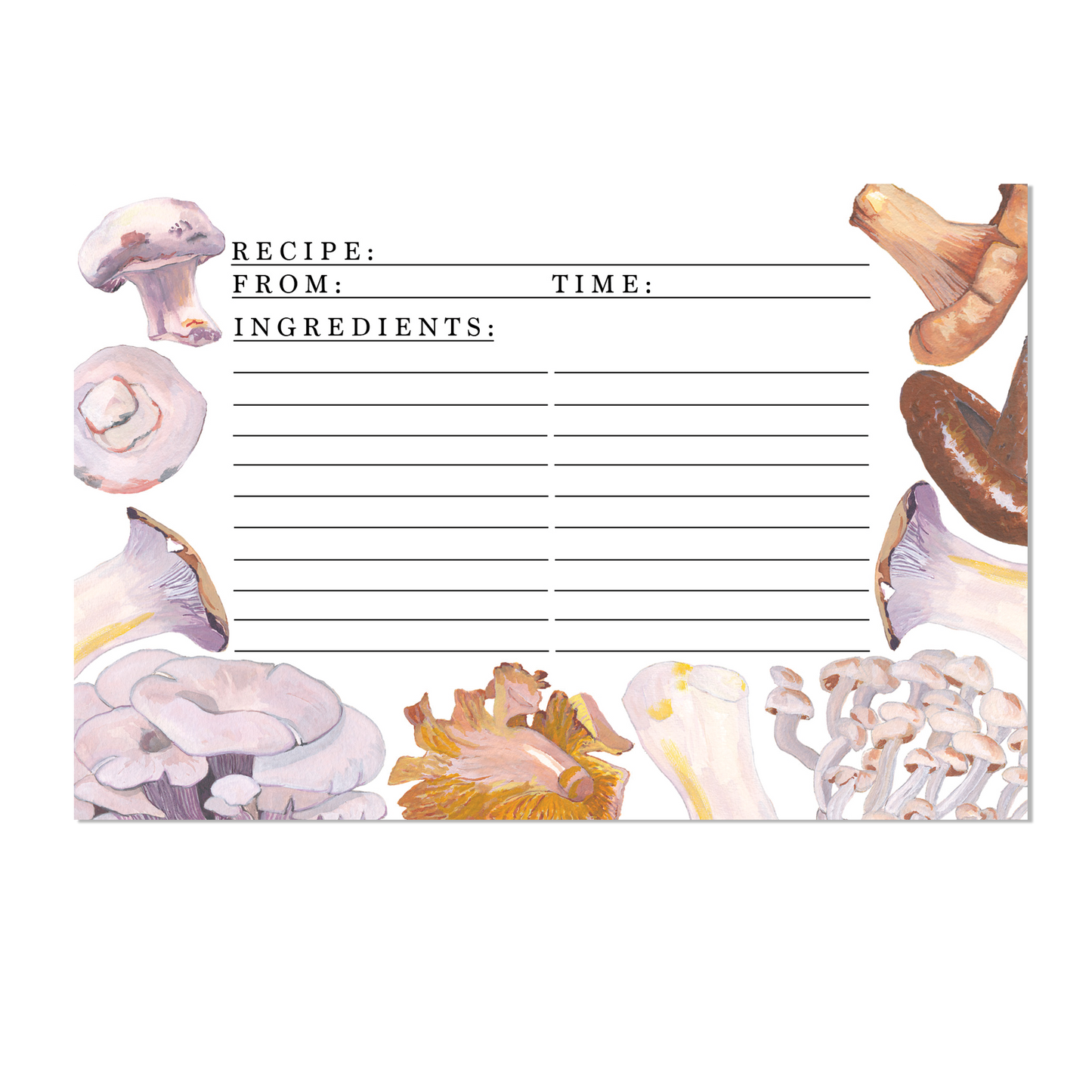 Culinary Mushrooms Recipe Card Set