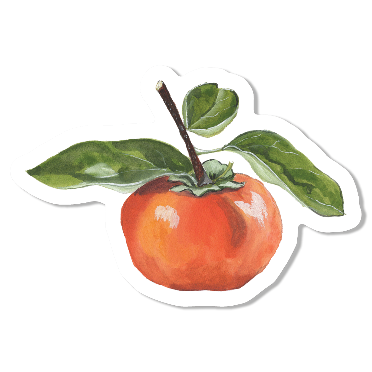 Persimmon Vinyl Sticker