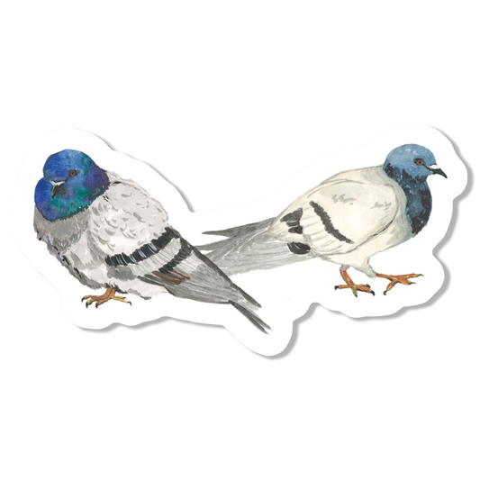 Pigeon Duo Vinyl Sticker