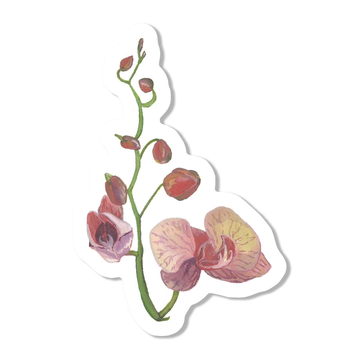 Pink Orchids Vinyl Sticker