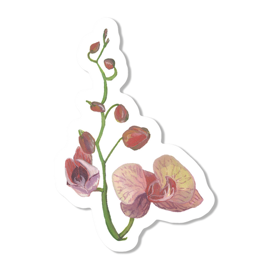 Pink Orchids Vinyl Sticker