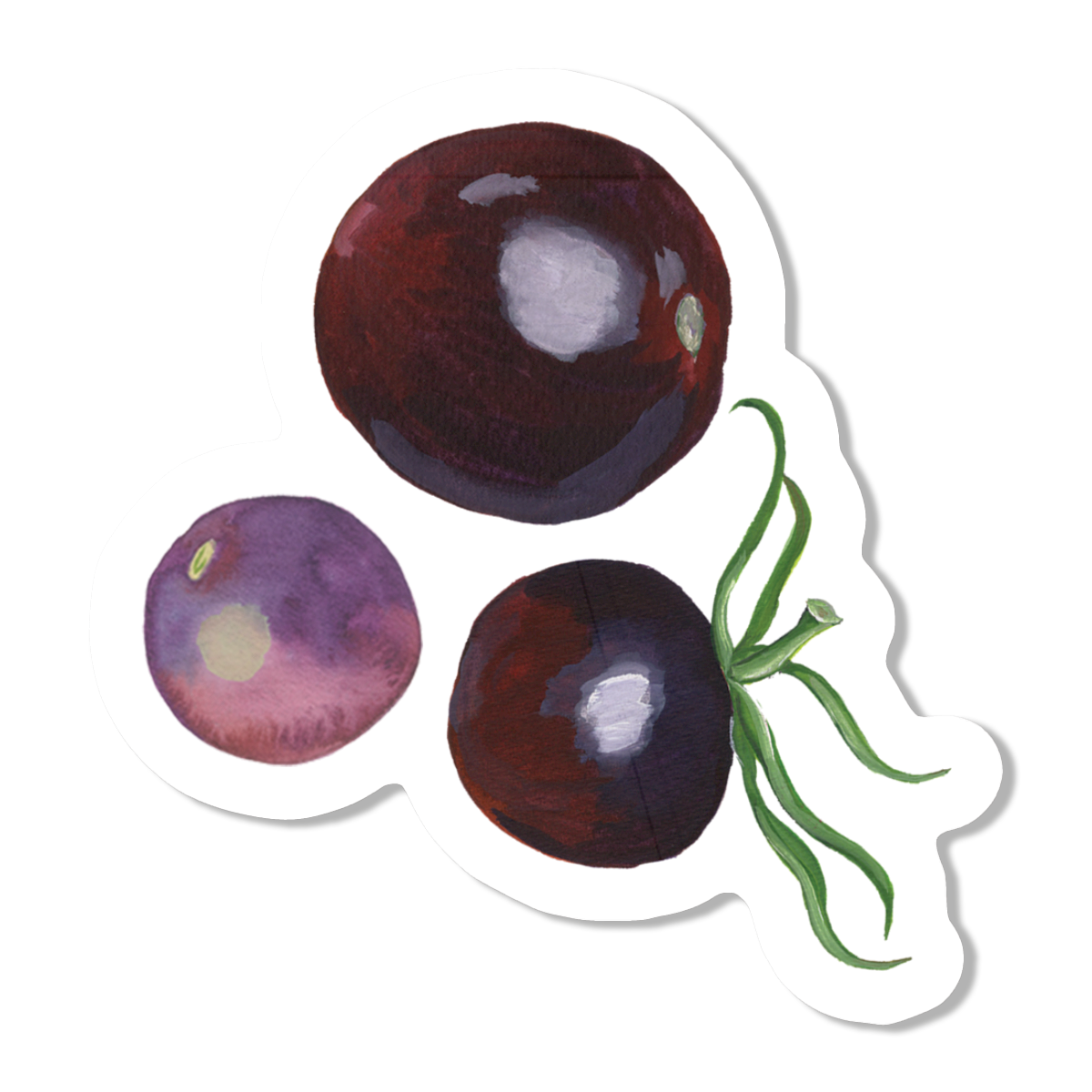 Purple Tomatoes Vinyl Sticker