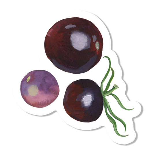 Purple Tomatoes Vinyl Sticker
