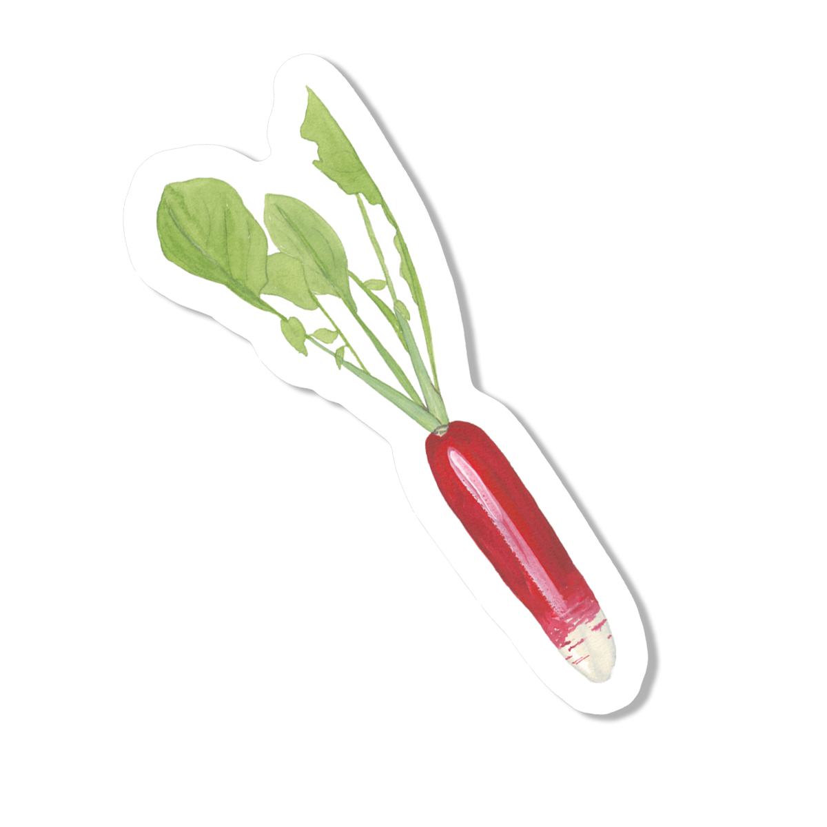 Radish Vinyl Sticker