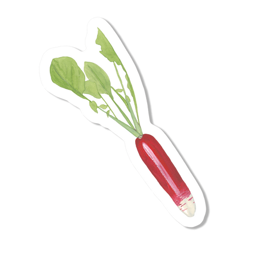 Radish Vinyl Sticker