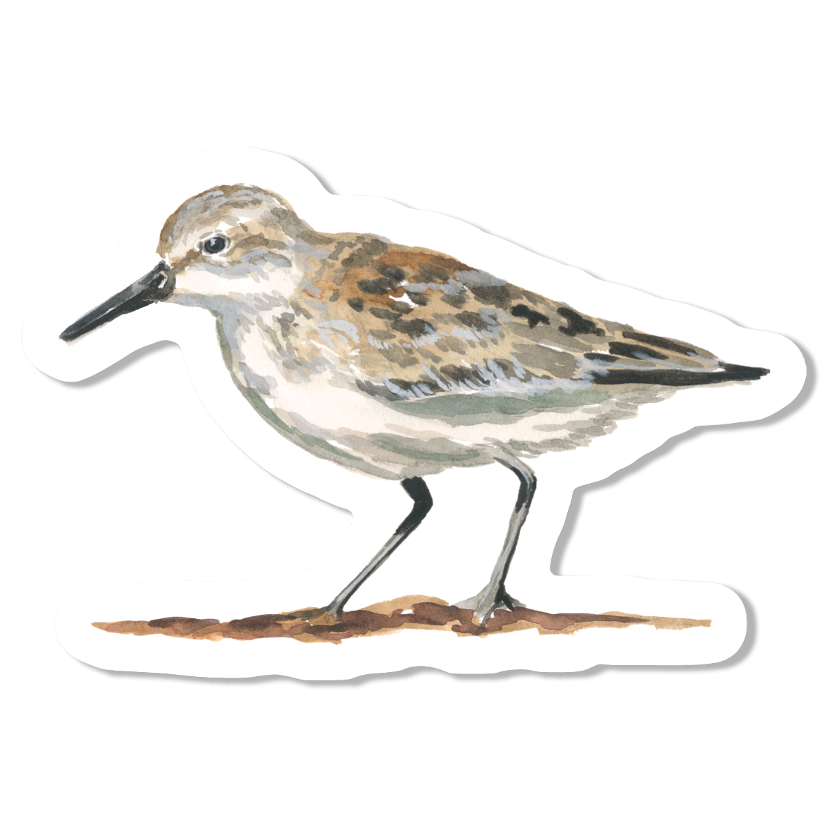 Sandpiper Vinyl Sticker