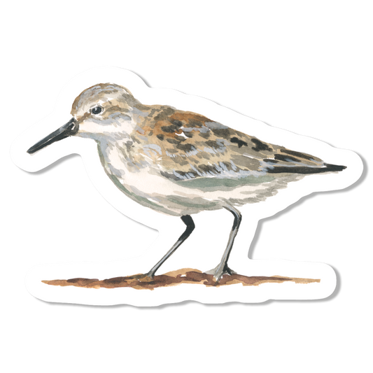 Sandpiper Vinyl Sticker