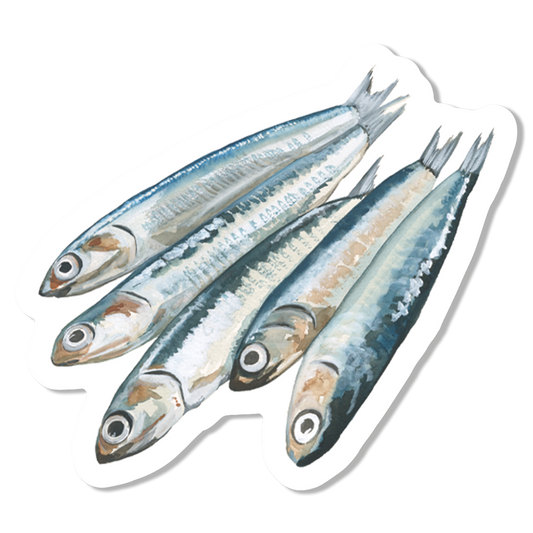 Anchovies Vinyl Sticker