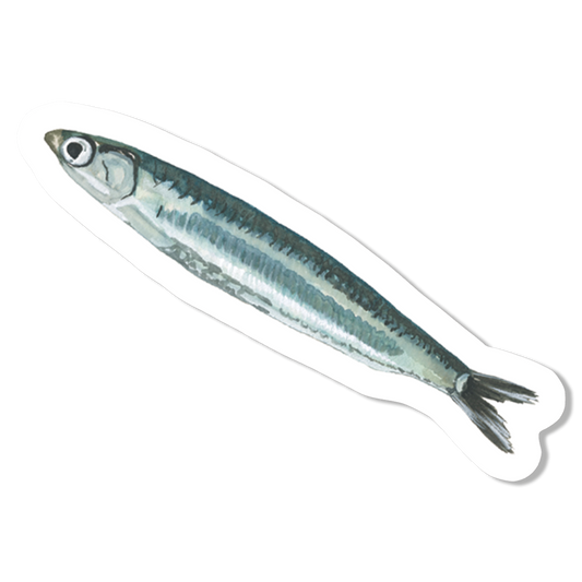 Sardine Vinyl Sticker