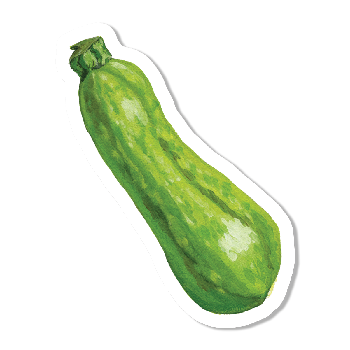 Zucchini Vinyl Sticker